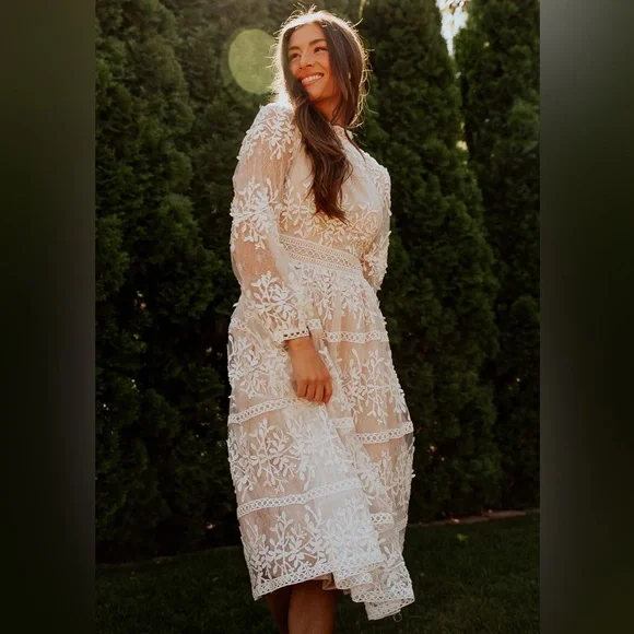 Ivy City Co Sicily Dress 3x Champagne Lining - Picture 1 of 5